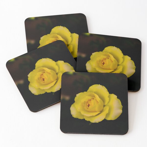Item preview, single yellow rose blossom on black background designed and sold by kall3bu.