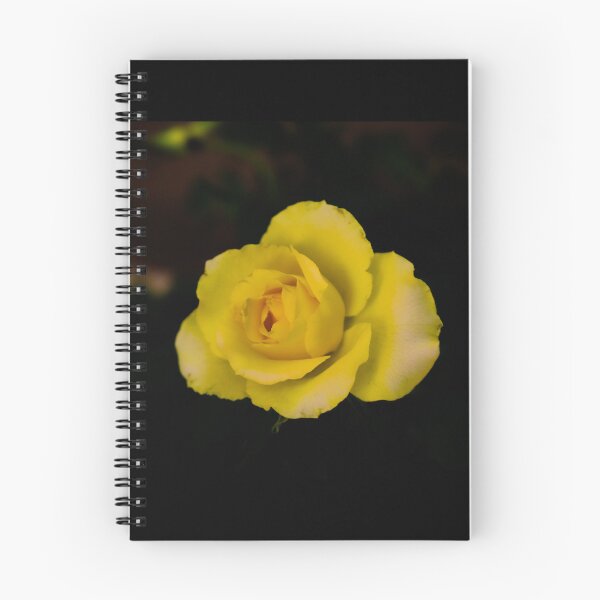 Item preview, single yellow rose blossom on black background designed and sold by kall3bu.