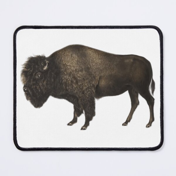 Item preview, Bison designed and sold by 1Jeff.