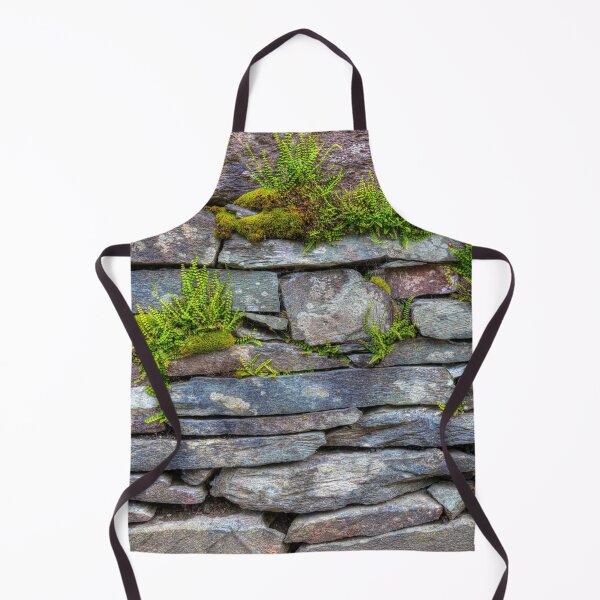 Item preview, Moss and Ferns On A Slate Wall designed and sold by Paul Thompson Photography.