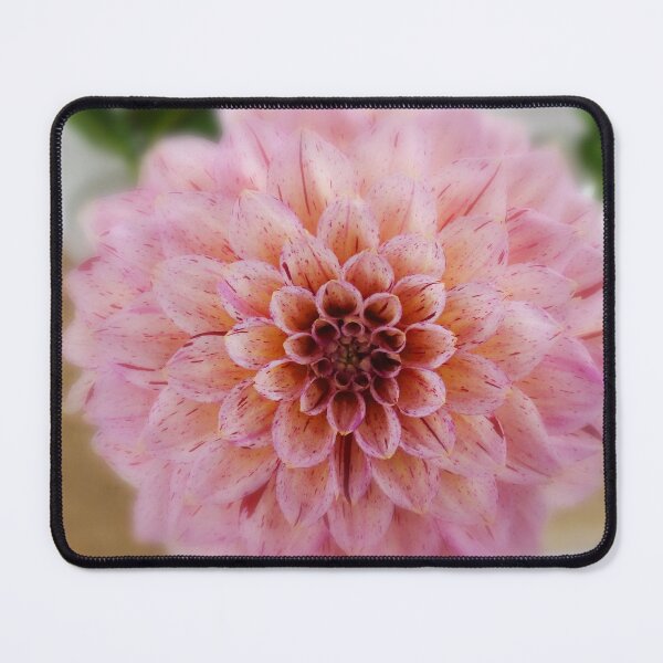 Item preview, Pink star designed and sold by Maxiverse.