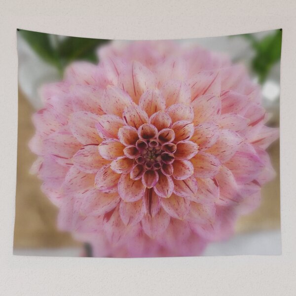 Item preview, Pink star designed and sold by Maxiverse.