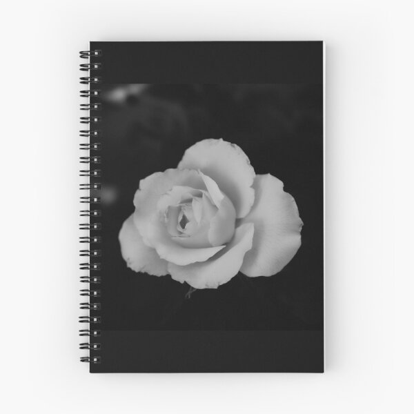 Item preview, single white rose blossom in black and white designed and sold by kall3bu.