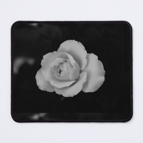 Item preview, single white rose blossom in black and white designed and sold by kall3bu.