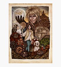 Labyrinth Photographic Print