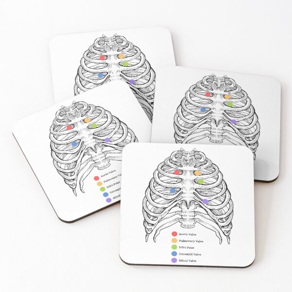 Item preview, The Human Ribs, auscultation point, anatomy designed and sold by DeVeauDesign.