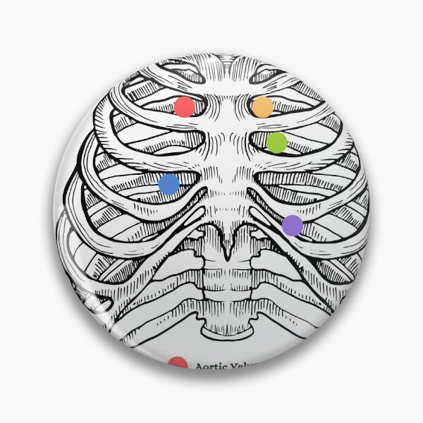 Item preview, The Human Ribs, auscultation point, anatomy designed and sold by DeVeauDesign.