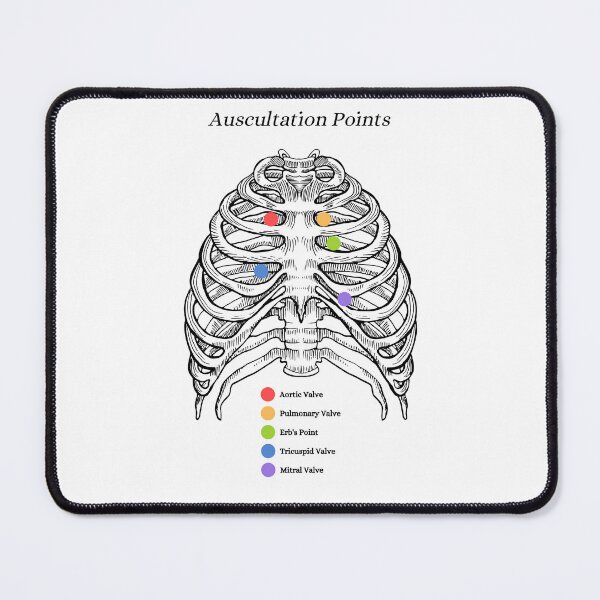 Item preview, The Human Ribs, auscultation point, anatomy designed and sold by DeVeauDesign.