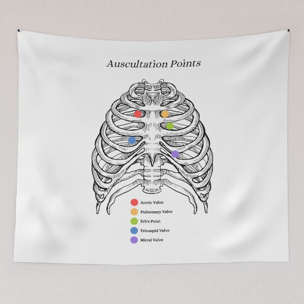 Item preview, The Human Ribs, auscultation point, anatomy designed and sold by DeVeauDesign.