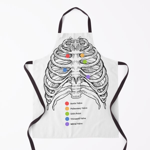 Item preview, The Human Ribs, auscultation point, anatomy designed and sold by DeVeauDesign.