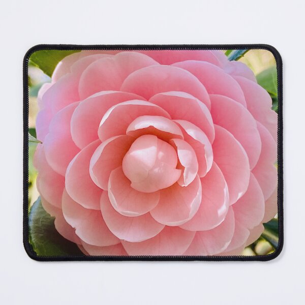Item preview, Pink Fusion designed and sold by Suzal770.