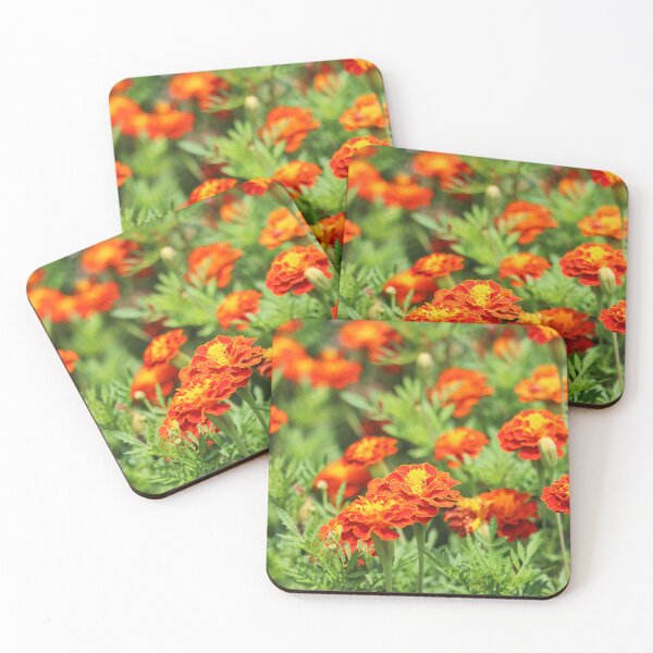 Item preview, French Marigolds designed and sold by Cynthia48.