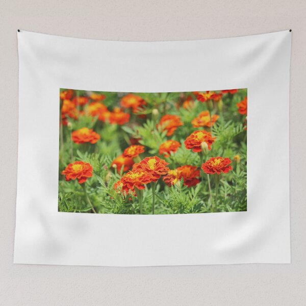 Item preview, French Marigolds designed and sold by Cynthia48.