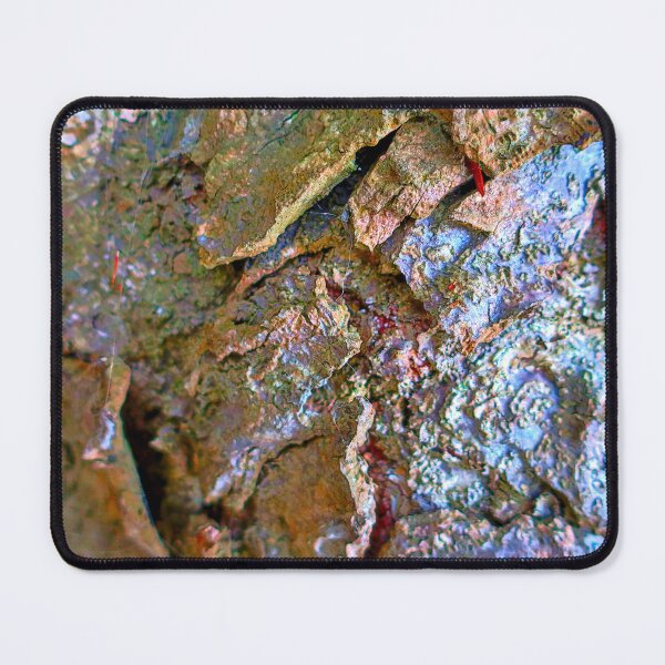 Item preview, Spangled bark designed and sold by light-blower.