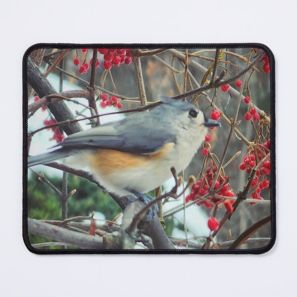 Item preview, Tufted Titmouse Waiting Among the Berries designed and sold by SXW Designs.