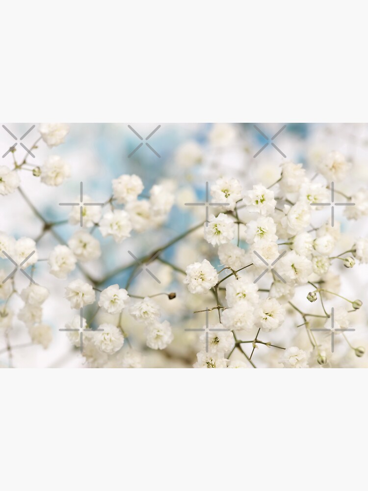 White Gypsophila Flowers Photography Print-Botanical Printable