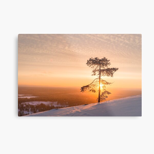Lapland Sunrise (Pyha, Finland) Metal Print