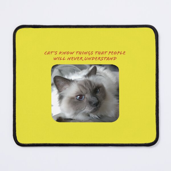 Item preview, Cats know things that people wil never understand designed and sold by TechLaughs.