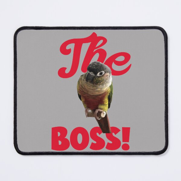 Item preview, The Boss Green Cheek Conure design | Conure | Small Parrot | Parakeet | Parrot lover designed and sold by TatianaLG.