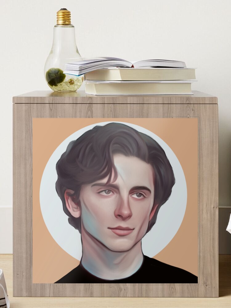 timothee chalamet - Paint by numbers - Painting By Numbers