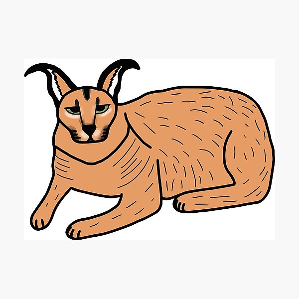 Big Floppa - Caracal meme cat / fat floppa / cursed floppa | Sticker