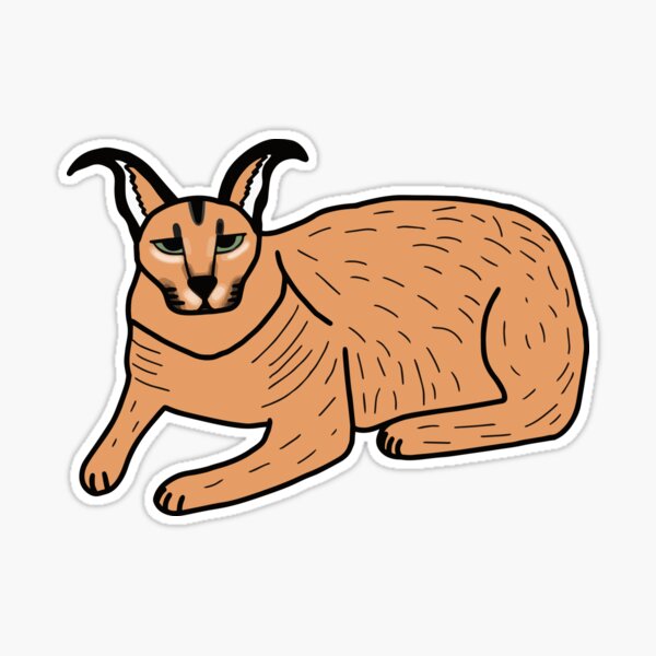 big floppa - caracal Sticker for Sale by faelarvae