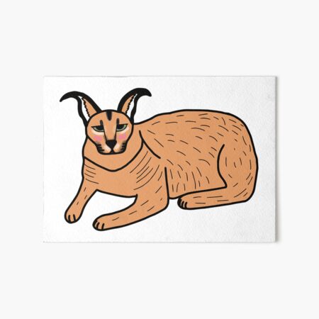 Caracal Cat One | Art Board Print