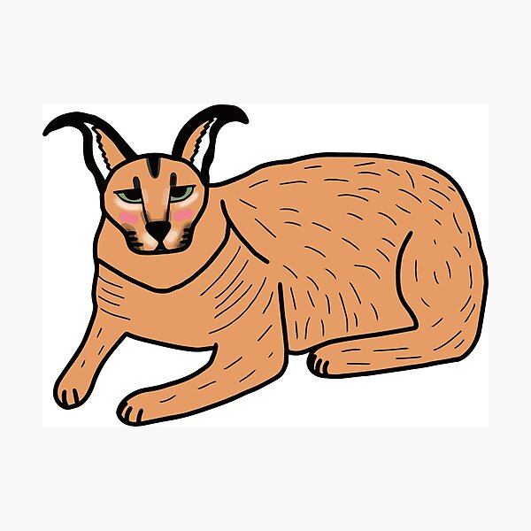 Drunk Floppa Meme Caracal Cat | Art Print