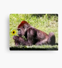 Pretty Flower Metal Print