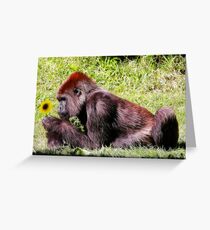 Pretty Flower Greeting Card