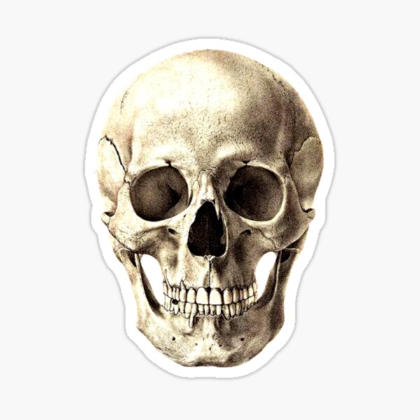 Alas Poor Yorick Sticker