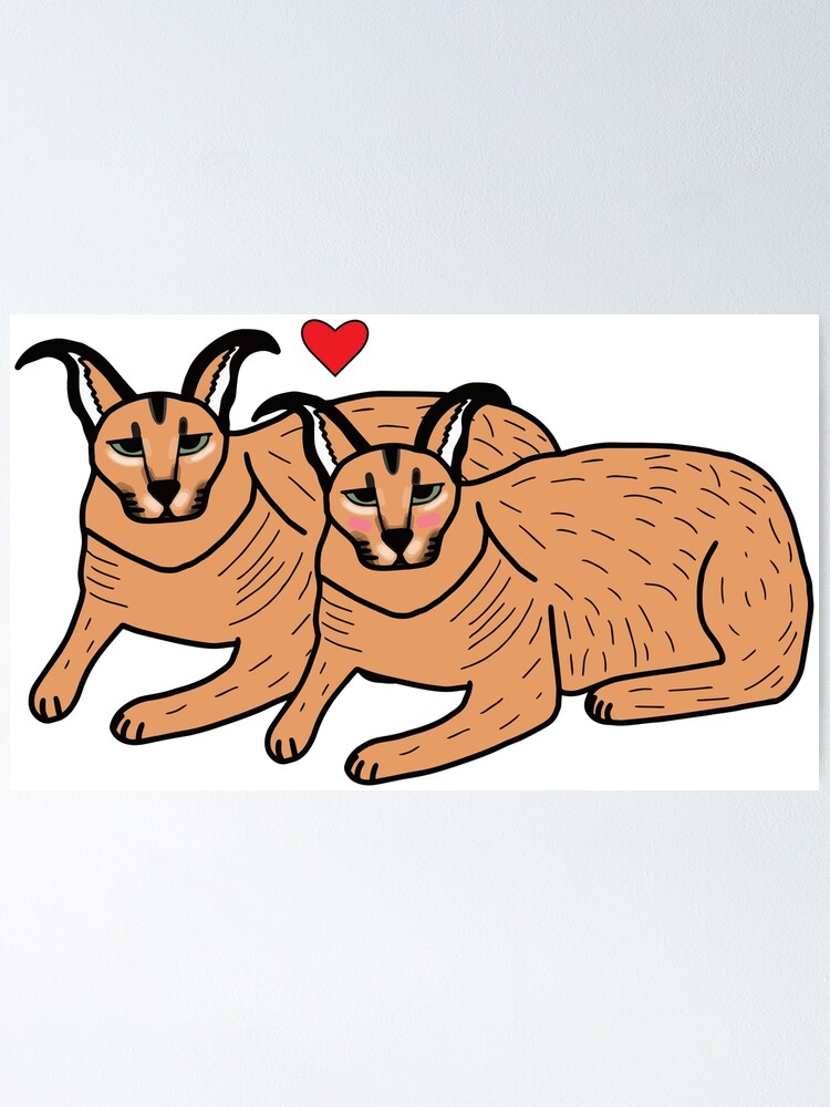 Pareja Wear Big Floppa Meme Lindo Estampado De Gato Caracal