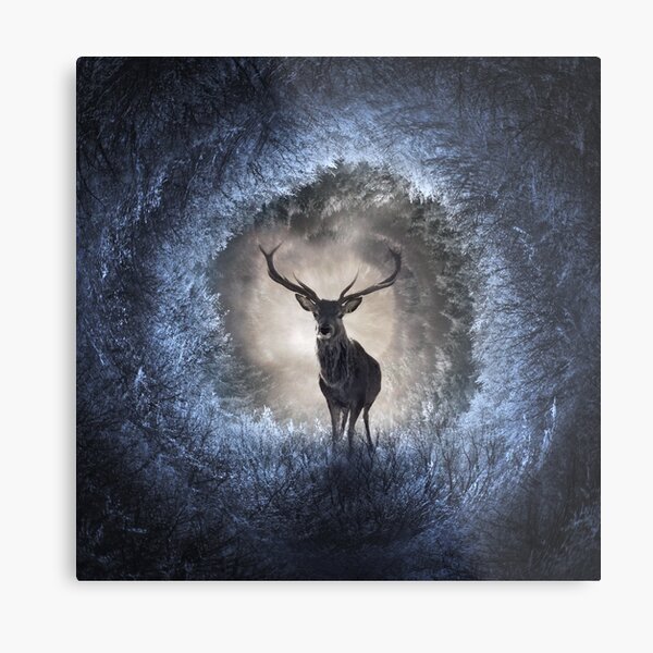 Winter Metal Print