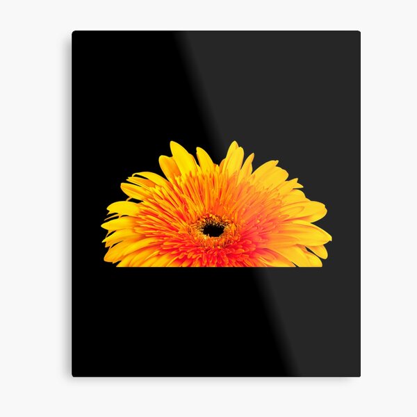 Item preview, sunflower bouquet, flower garden Sticker  designed and sold by TamouStyle.