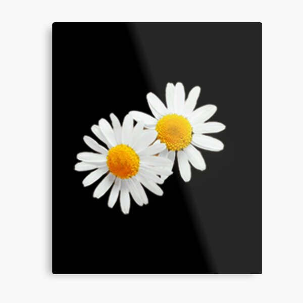 Item preview,  sunflower bouquet, flower garden Sticker  designed and sold by TamouStyle.