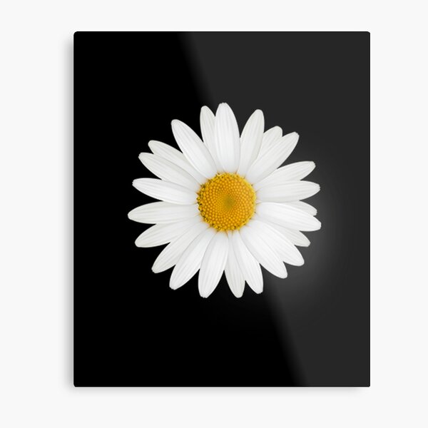 Item preview,  sunflower bouquet, flower garden Sticker  designed and sold by TamouStyle.