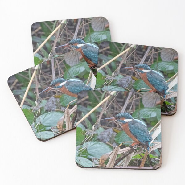Item preview, Kingfisher designed and sold by Chris Monks.