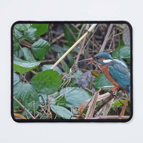 Item preview, Kingfisher designed and sold by Chris Monks.