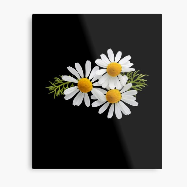 Item preview,  sunflower bouquet, flower garden Sticker  designed and sold by TamouStyle.