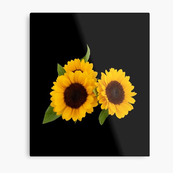 Item preview,  sunflower bouquet, flower garden Sticker  designed and sold by TamouStyle.