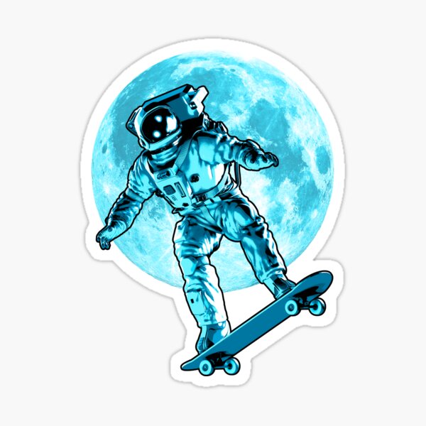 V/SUAL Visual Skate Sticker Diving Board Girl 5" skateboards helmets decal 