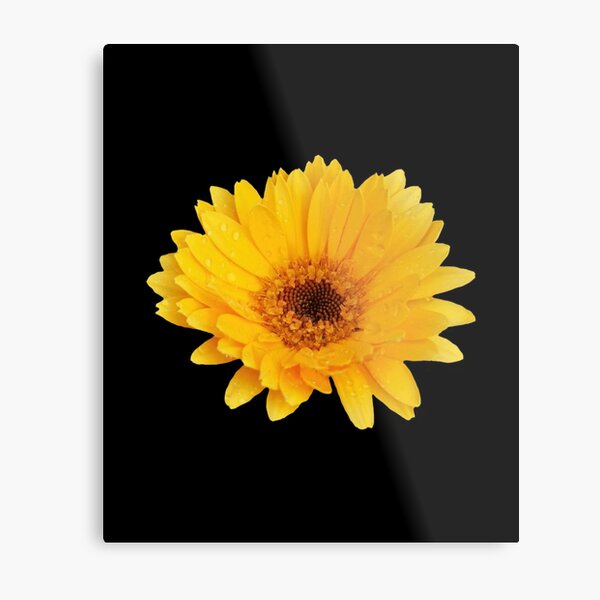 Item preview,  sunflower bouquet, flower garden Sticker  designed and sold by TamouStyle.