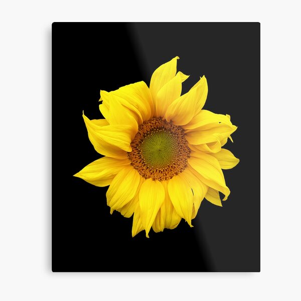Item preview,  sunflower bouquet, flower garden Sticker  designed and sold by TamouStyle.
