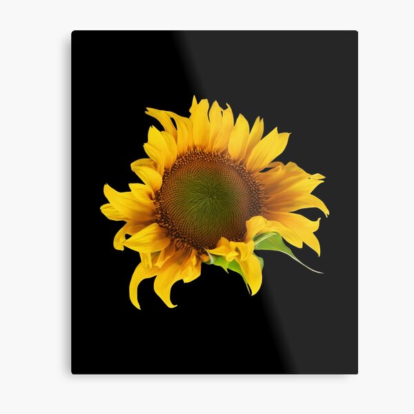 Item preview, sunflower bouquet, flower garden Sticker  designed and sold by TamouStyle.