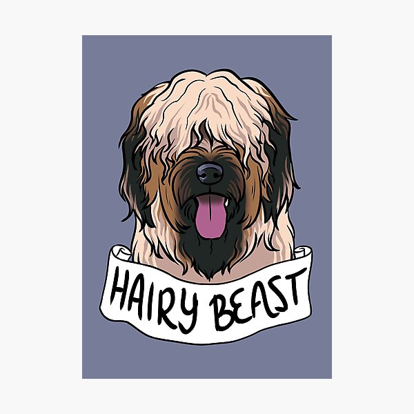 Item preview, Briard (Hairy Beast) designed and sold by Rui-rui.