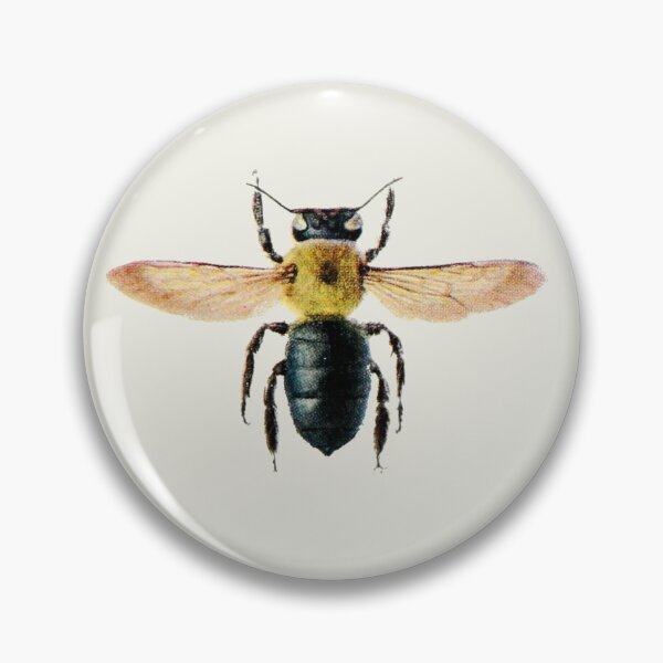Item preview, bombs designed and sold by Ayqueabeja.