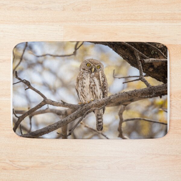 Item preview, Pearl Spotted Owlet Zimbabwe Africa designed and sold by PhotoArt by Joan Carroll.