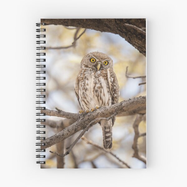 Item preview, Pearl Spotted Owlet Zimbabwe Africa designed and sold by PhotoArt by Joan Carroll.