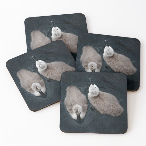 Item preview, Cygnets Swimming designed and sold by ernest123.