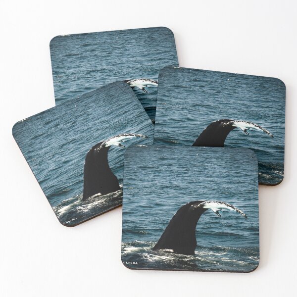 Item preview, whale tail designed and sold by KoyaHL.